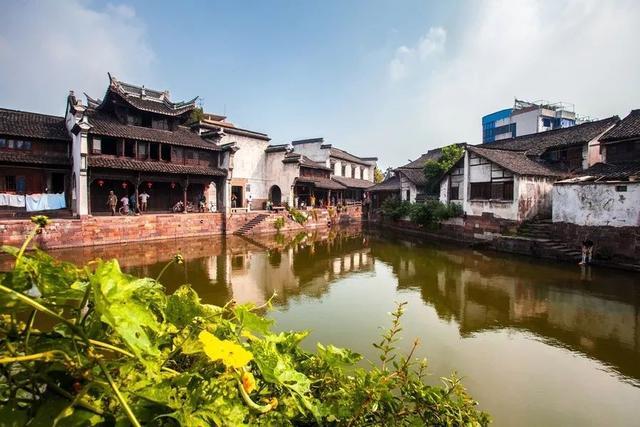 虫虫助手下载